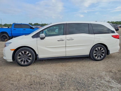 2024 HONDA ODYSSEY EXL  