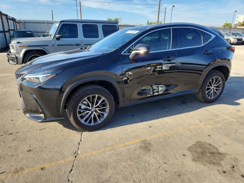 2024 LEXUS NX 250 PREMIUM  