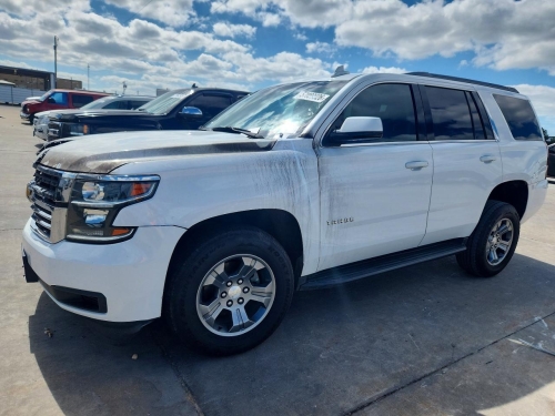 2019 CHEVROLET TAHOE C1500 LS  
