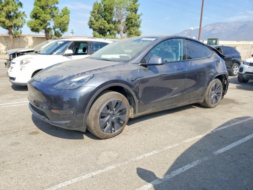 2025 TESLA MODEL Y   