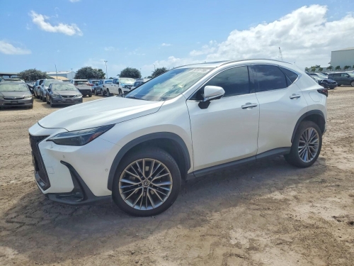 2022 LEXUS NX 350H  