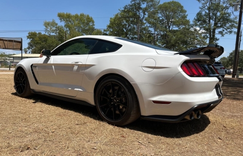 2019 FORD MUSTANG SHELBY GT350