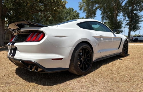2019 FORD MUSTANG SHELBY GT350