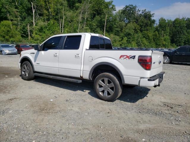 Image1
