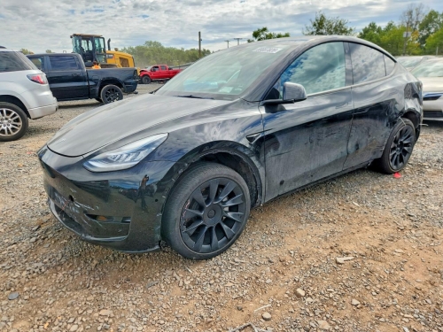 2022 TESLA MODEL Y   