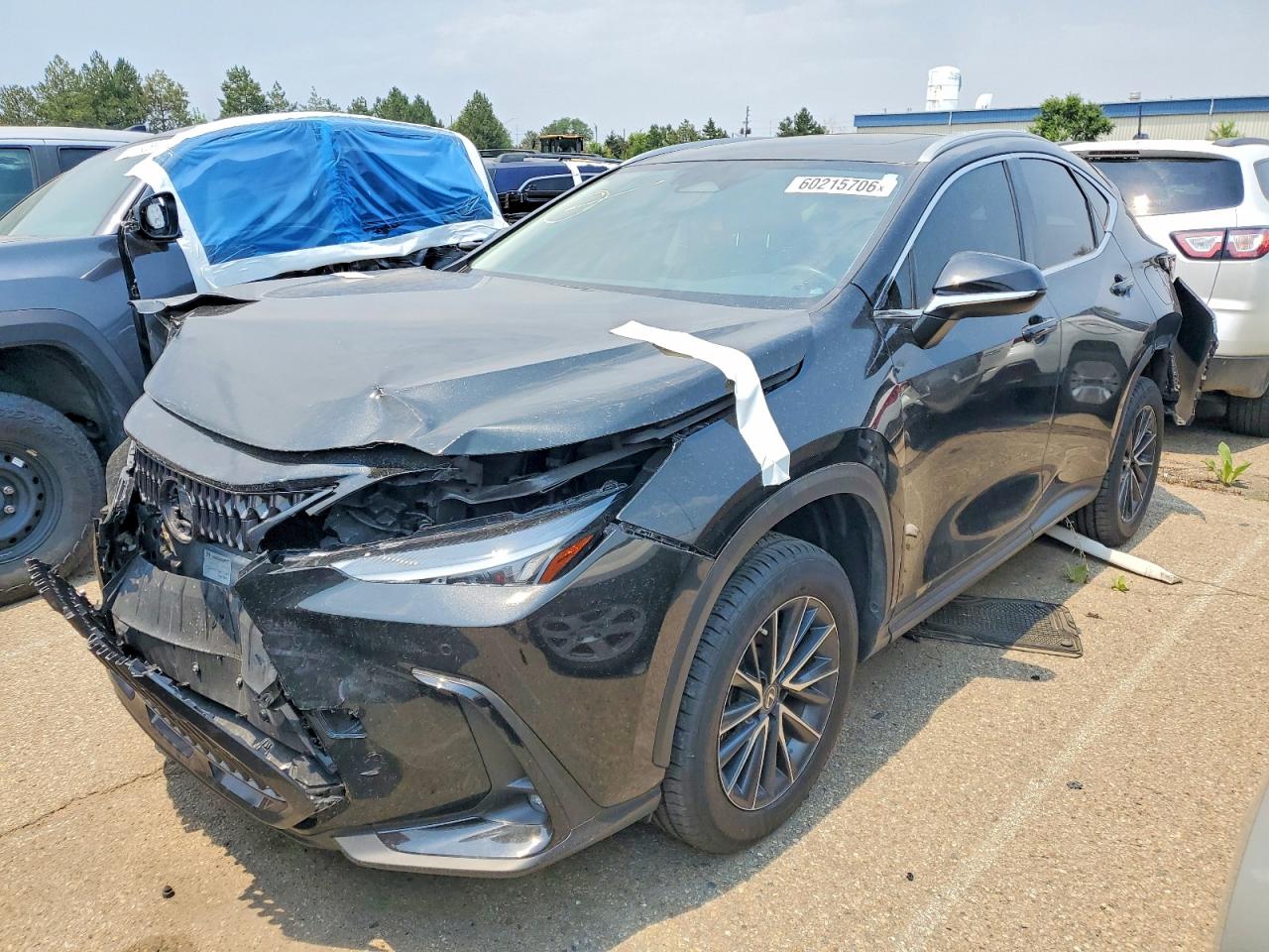 2023 LEXUS NX 350  