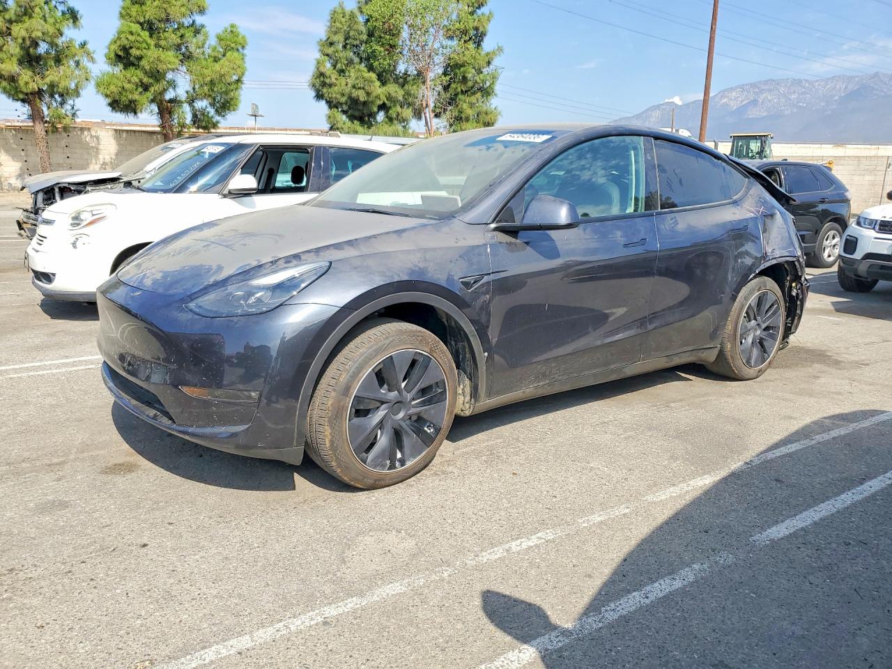 2025 TESLA MODEL Y   