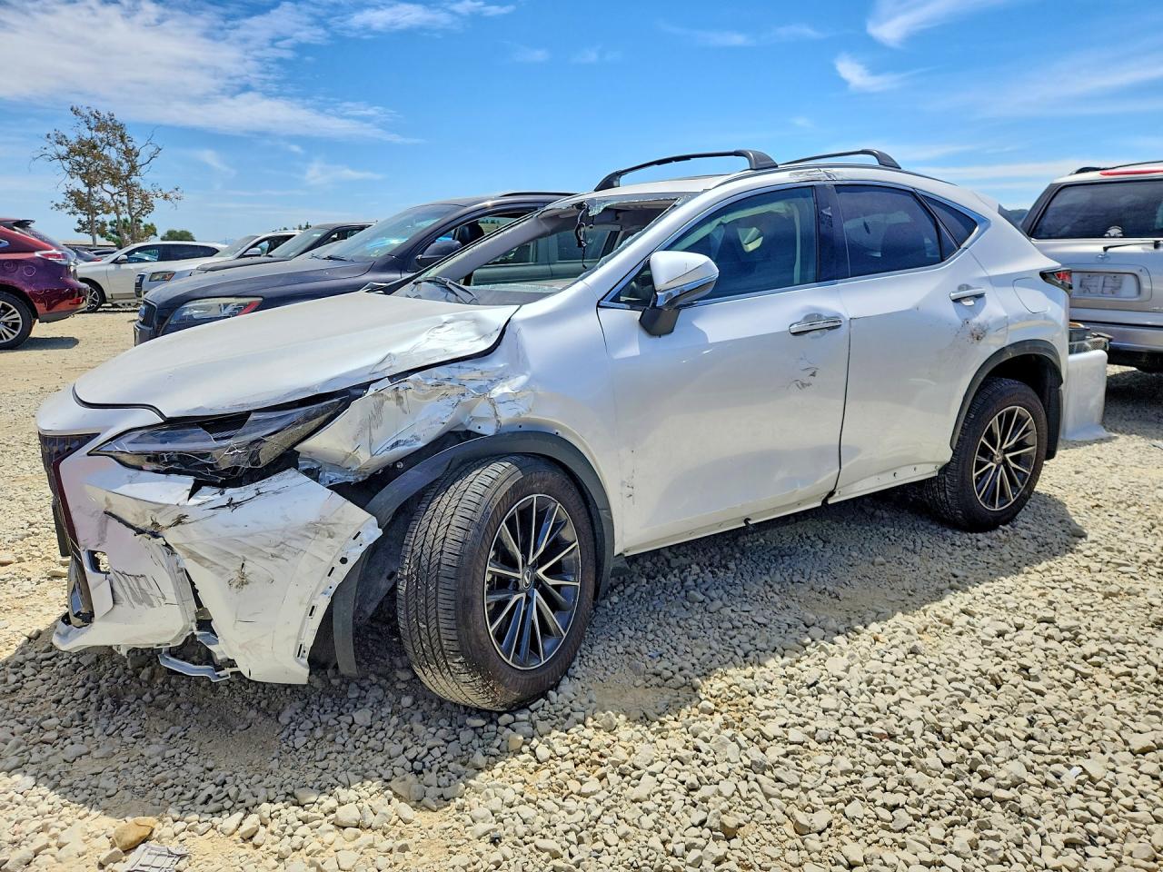2025 LEXUS NX 250 PREMIUM  