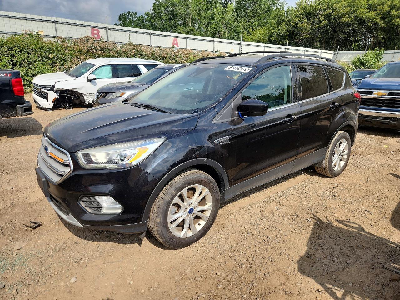 2019 FORD ESCAPE SEL  