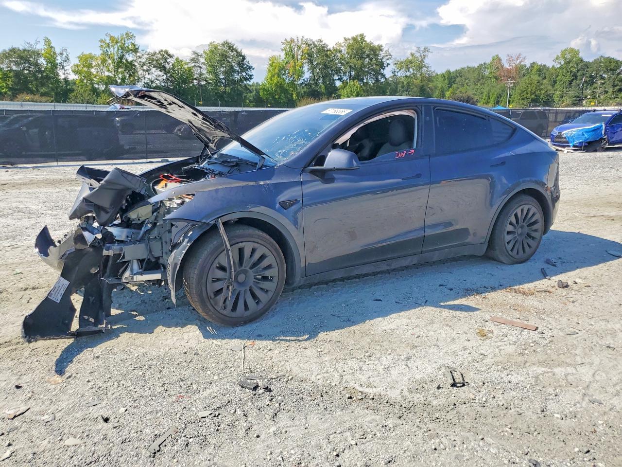 2024 TESLA MODEL Y   