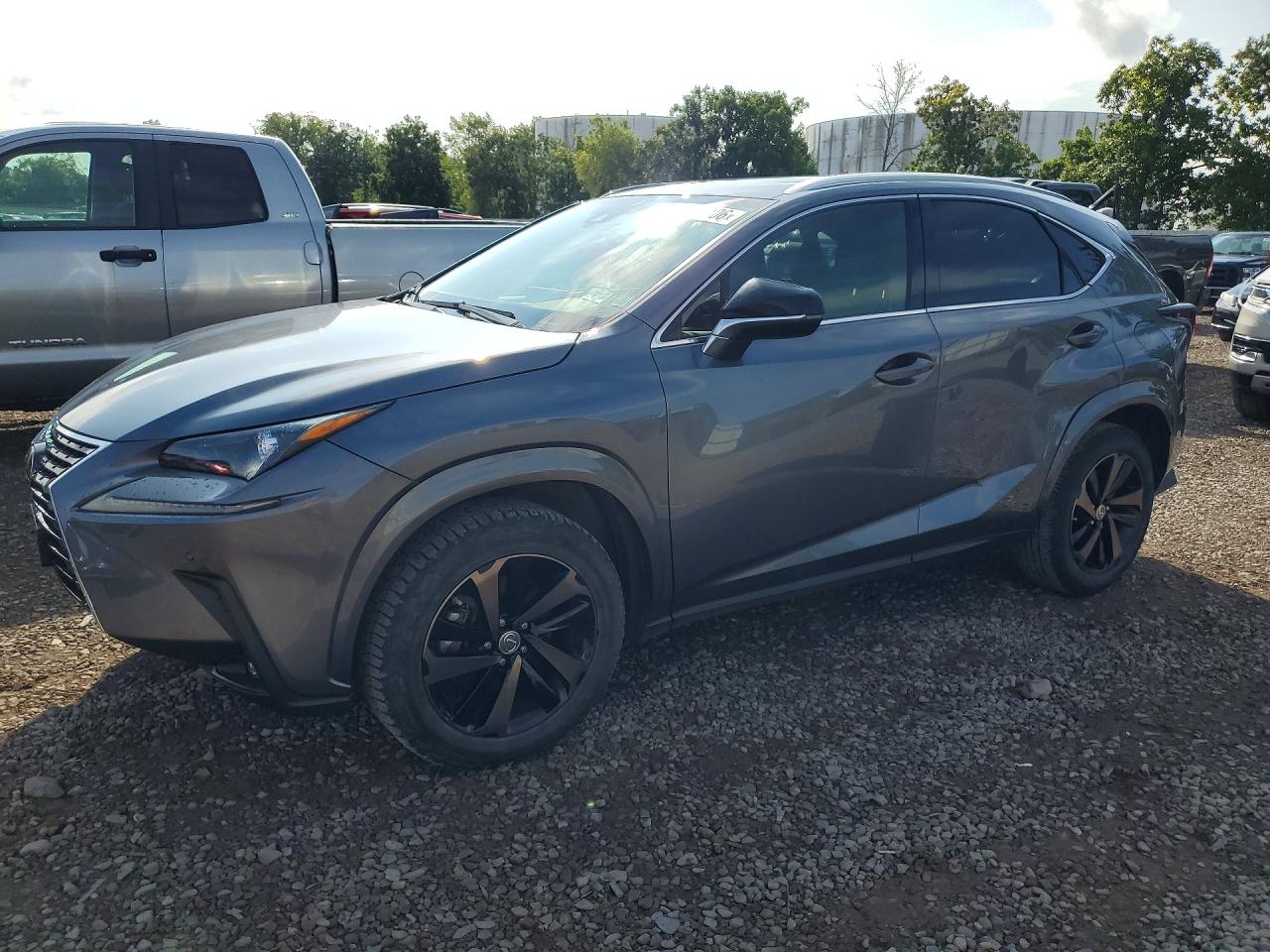 2020 LEXUS NX 300  