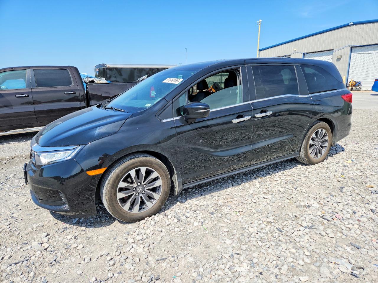 2024 HONDA ODYSSEY EXL  