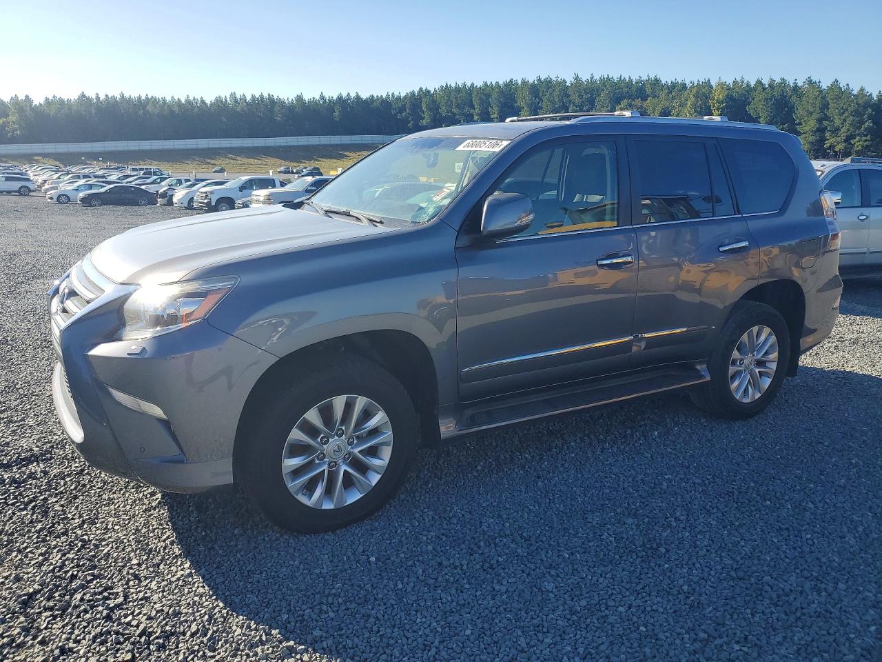 2017 LEXUS GX 460  